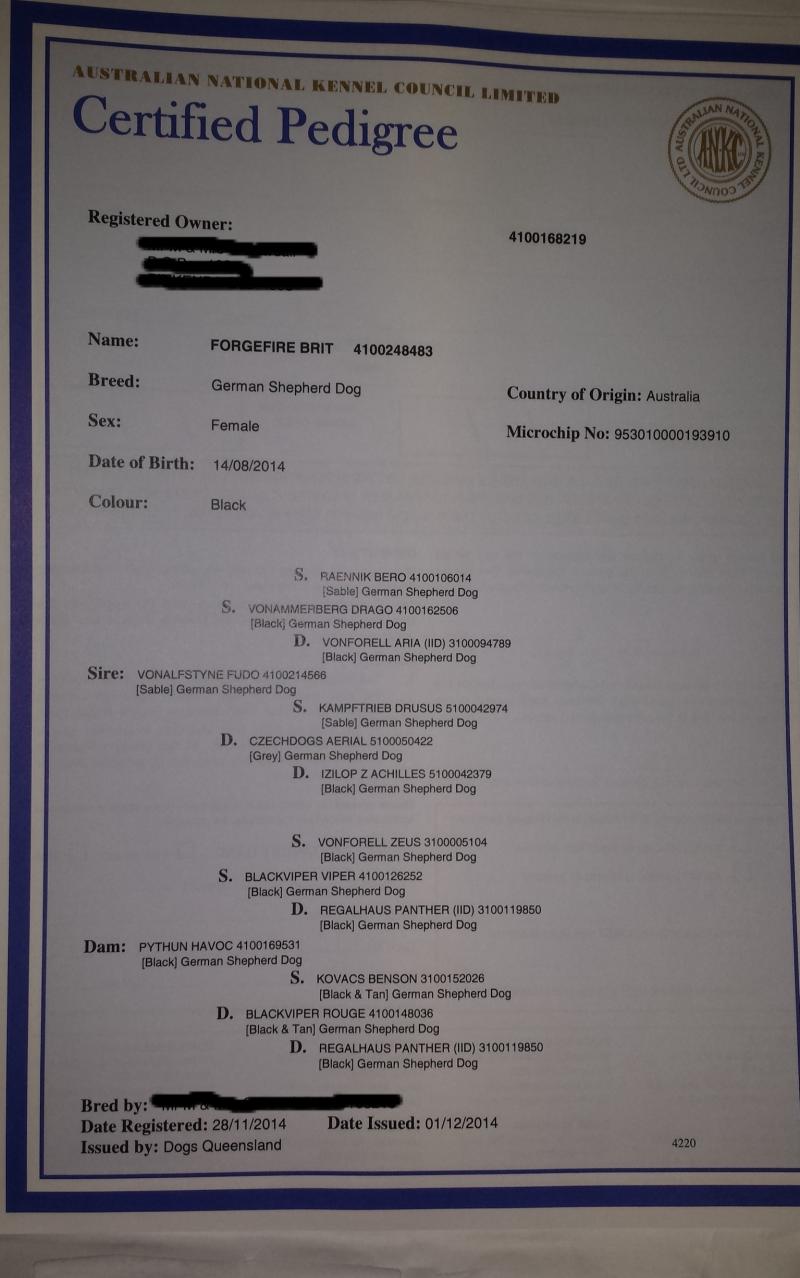 Copyright MPD